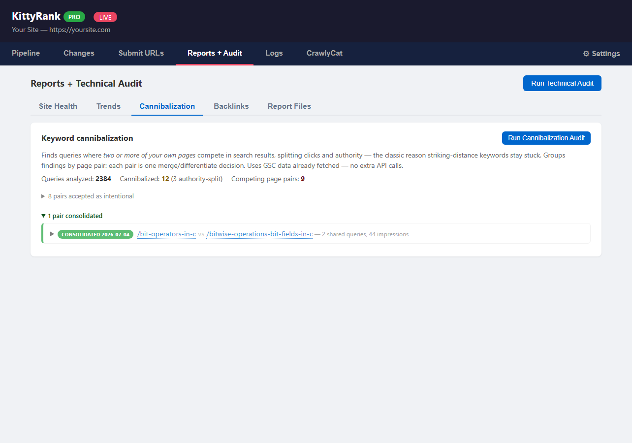 Cannibalization audit showing competing page pairs